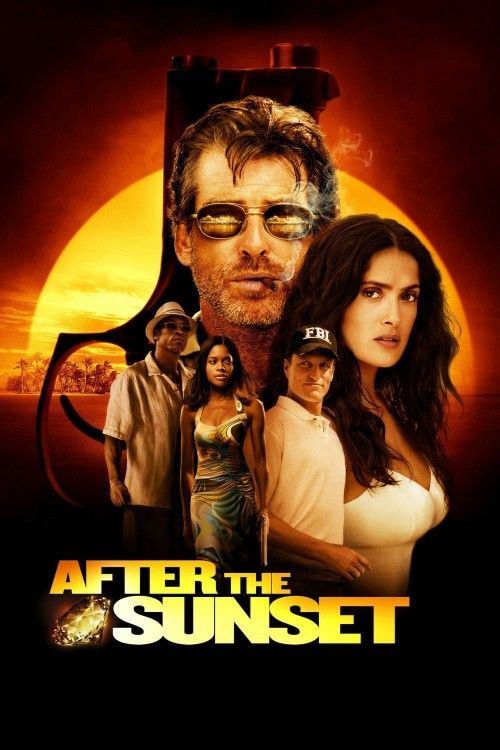 After the Sunset (2004) Hindi Dubbed Movie download full movie