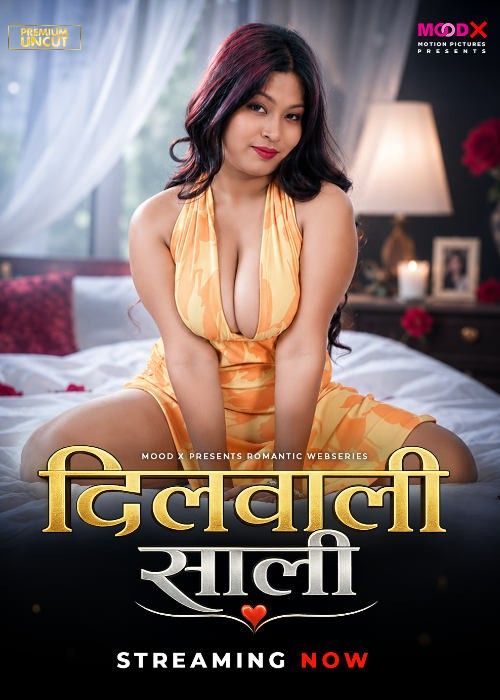 Dilwali Saali (2026) S01E01 Hindi MoodX Web Series download full movie