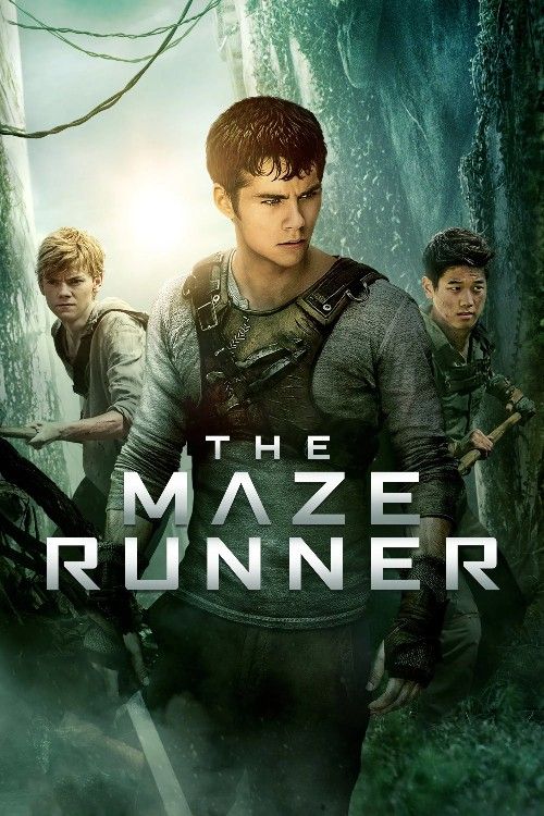 The Maze Runner (2014) Hindi Dubbed Movie download full movie